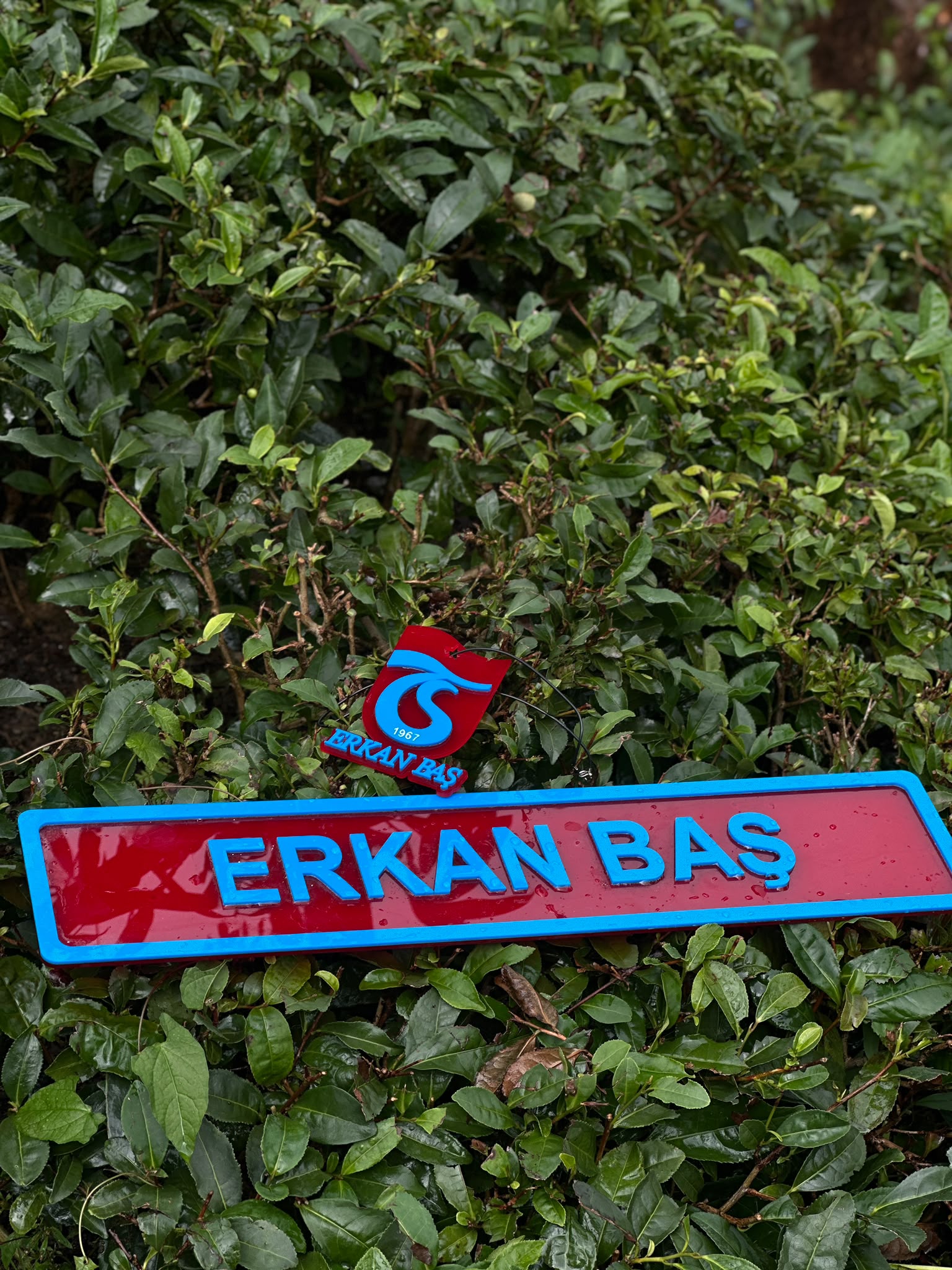 DEKOR ASKILI PLEKSİ KAPATMA